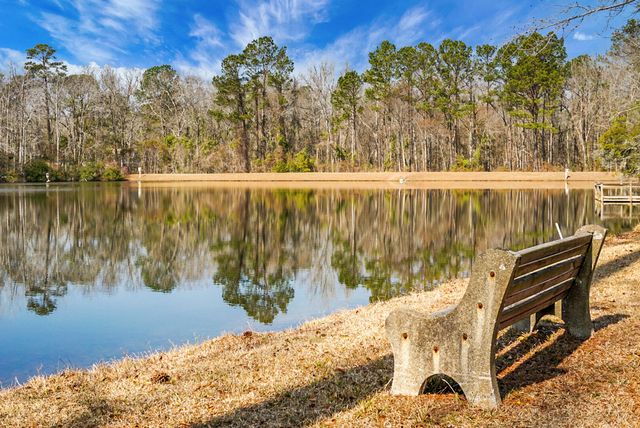 1 Santee Lakes Court, Elloree, SC 29047
