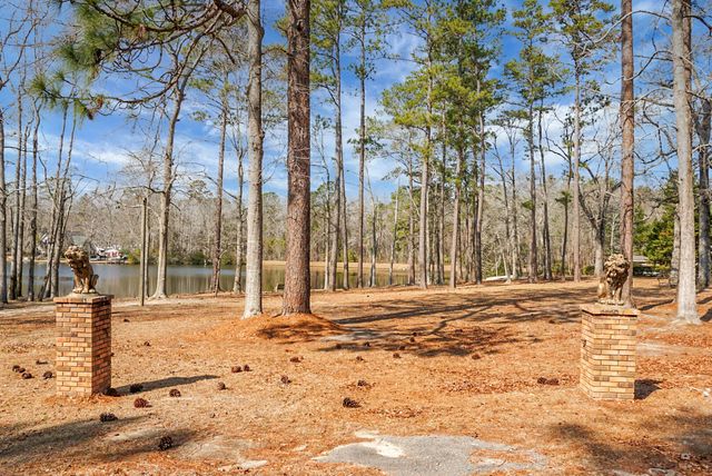 1 Santee Lakes Court, Elloree, SC 29047