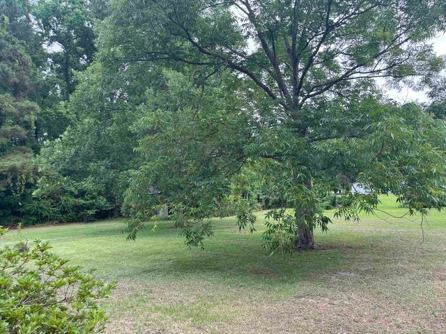908 Martin Luther King Dr., Andrews, SC 29510