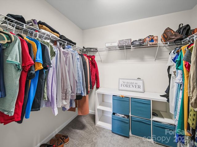 243 Skyland Avenue, Charlotte, NC 28205