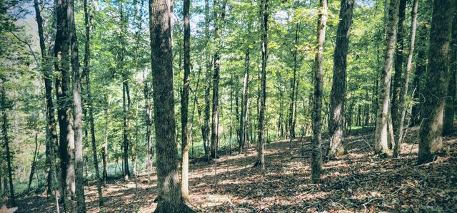 329 Hilltop Ln, Gainesboro, TN 38562