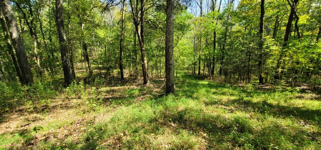 329 Hilltop Ln, Gainesboro, TN 38562