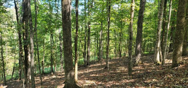 329 Hilltop Ln, Gainesboro, TN 38562