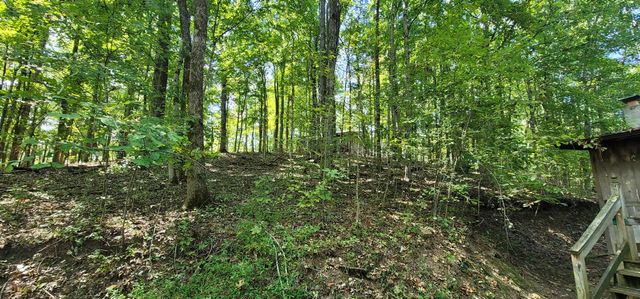 329 Hilltop Ln, Gainesboro, TN 38562