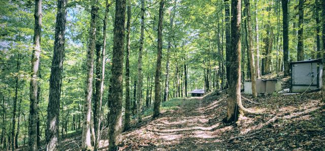 329 Hilltop Ln, Gainesboro, TN 38562