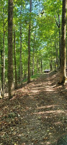 329 Hilltop Ln, Gainesboro, TN 38562