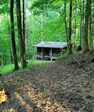 329 Hilltop Ln, Gainesboro, TN 38562