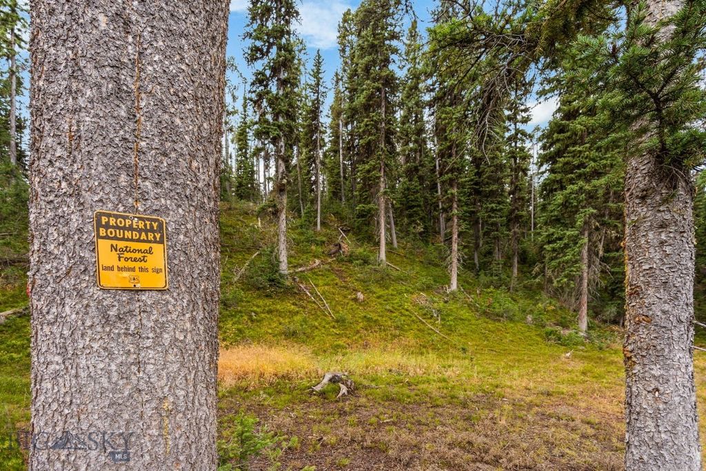 708 US Highway 212 W, Cooke City, MT 59020 photo 62