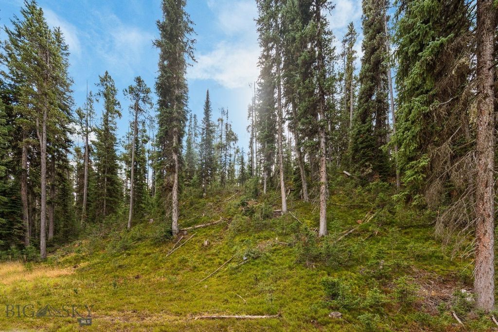 708 US Highway 212 W, Cooke City, MT 59020 photo 63