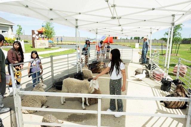 16843 Old Wagon Way, Hockley, TX 77447