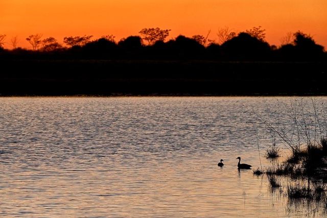 16843 Old Wagon Way, Hockley, TX 77447