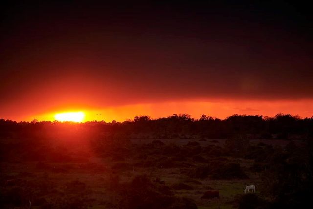 16843 Old Wagon Way, Hockley, TX 77447