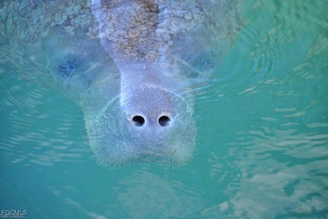 13071 Pebblebrook Point CIR 201, Fort Myers, FL 33905