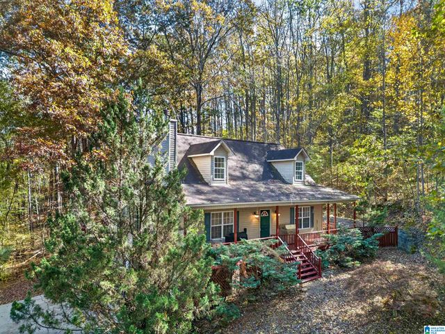 995 BEAVER RIDGE DRIVE, Ashville, AL 35953