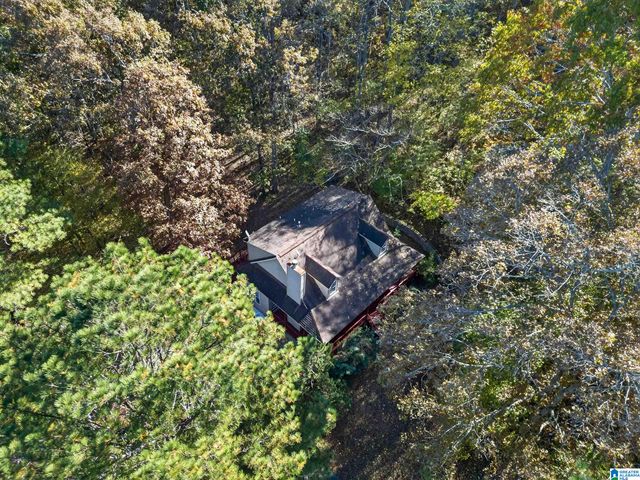 995 BEAVER RIDGE DRIVE, Ashville, AL 35953