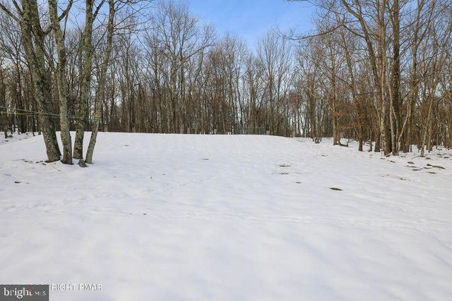 81 BLAIRWOOD LN, Albrightsville, PA 18210