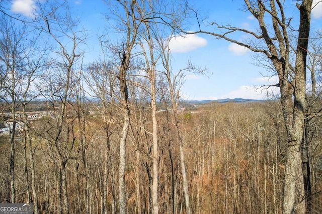 225 Eagles Nest Lane, Blue Ridge, GA 30513