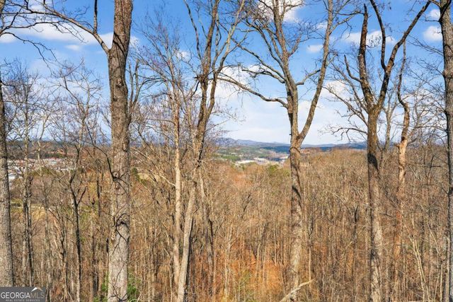 225 Eagles Nest Lane, Blue Ridge, GA 30513