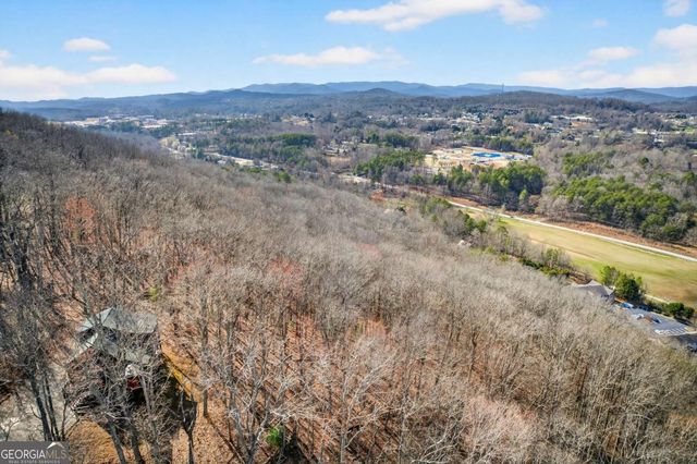 225 Eagles Nest Lane, Blue Ridge, GA 30513