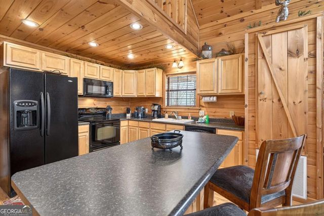 225 Eagles Nest Lane, Blue Ridge, GA 30513