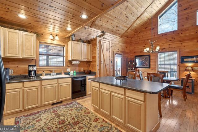 225 Eagles Nest Lane, Blue Ridge, GA 30513