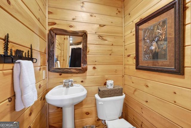 225 Eagles Nest Lane, Blue Ridge, GA 30513