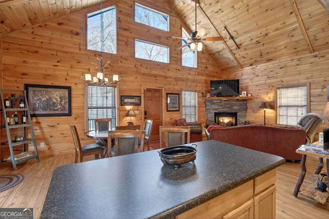 225 Eagles Nest Lane, Blue Ridge, GA 30513