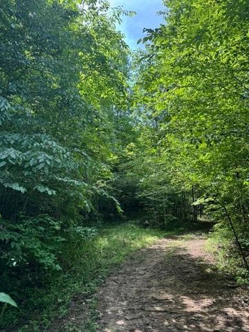 2784 Fiery Gizzard Road, South Pittsburg, TN 37380