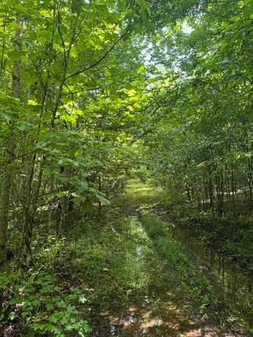 2784 Fiery Gizzard Road, South Pittsburg, TN 37380