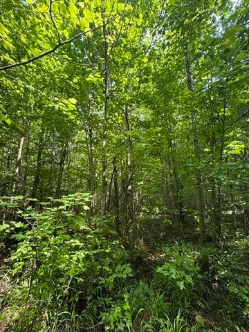 2784 Fiery Gizzard Road, South Pittsburg, TN 37380