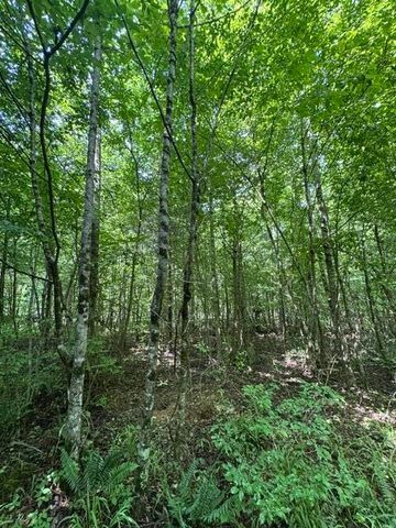 2784 Fiery Gizzard Road, South Pittsburg, TN 37380