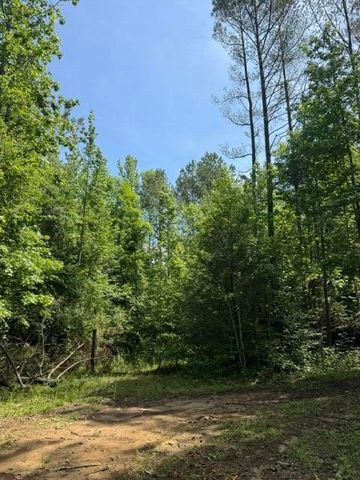 2784 Fiery Gizzard Road, South Pittsburg, TN 37380