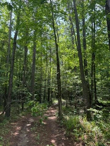 2784 Fiery Gizzard Road, South Pittsburg, TN 37380