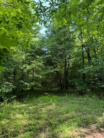 2784 Fiery Gizzard Road, South Pittsburg, TN 37380