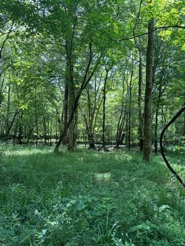 2784 Fiery Gizzard Road, South Pittsburg, TN 37380