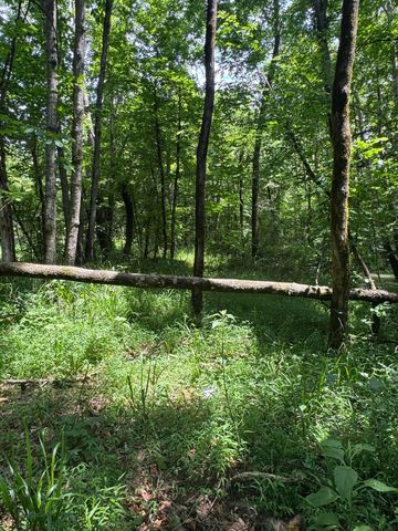 2784 Fiery Gizzard Road, South Pittsburg, TN 37380
