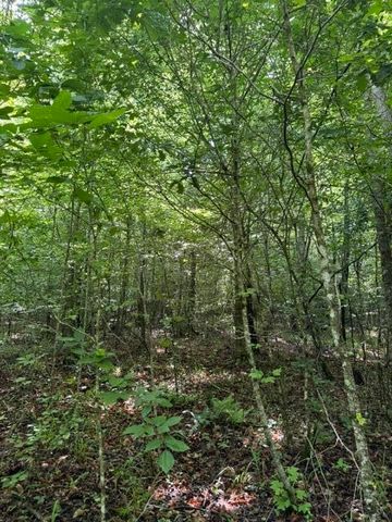 2784 Fiery Gizzard Road, South Pittsburg, TN 37380