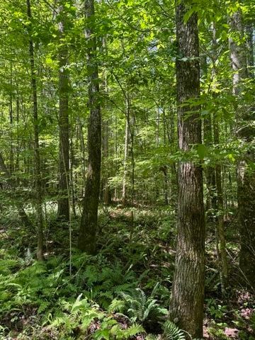 2784 Fiery Gizzard Road, South Pittsburg, TN 37380