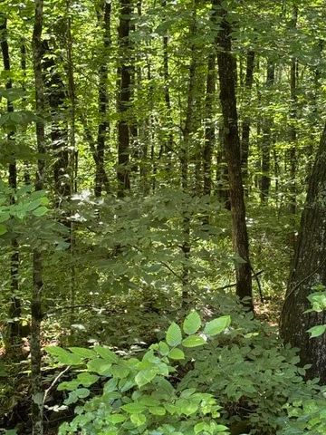 2784 Fiery Gizzard Road, South Pittsburg, TN 37380