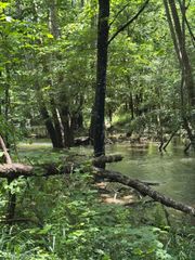 2784 Fiery Gizzard Road, South Pittsburg, TN 37380
