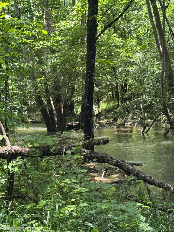 2784 Fiery Gizzard Road, South Pittsburg, TN 37380