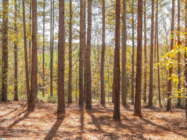 07 Mill Pine Road, Liberty, SC 29657