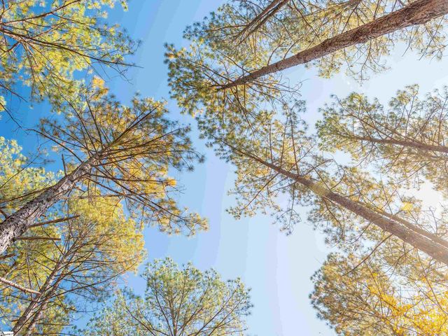 07 Mill Pine Road, Liberty, SC 29657