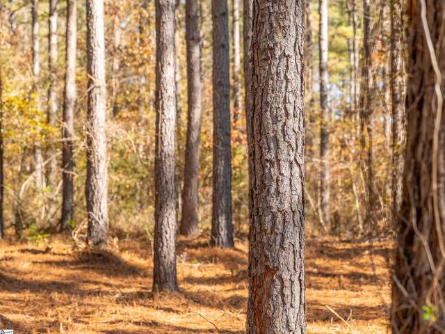 07 Mill Pine Road, Liberty, SC 29657