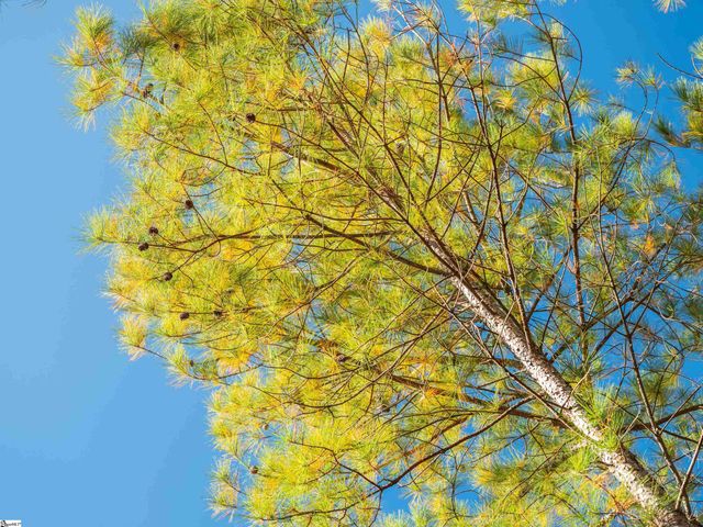 07 Mill Pine Road, Liberty, SC 29657