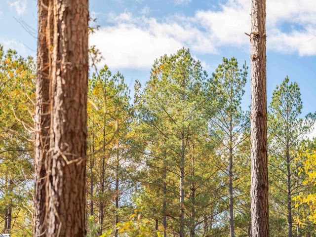 07 Mill Pine Road, Liberty, SC 29657