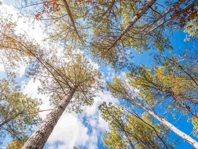 07 Mill Pine Road, Liberty, SC 29657