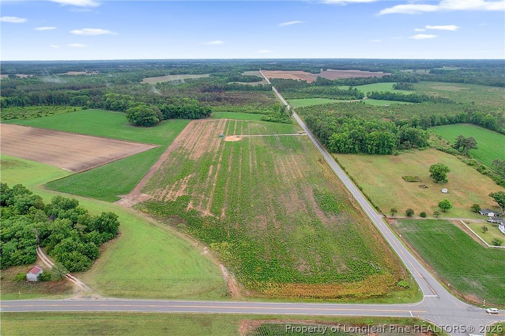 Lot 4 Buie Philadelphus Road, Red Springs, NC 28377 — photo 10