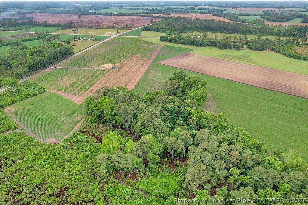 Lot 4 Buie Philadelphus Road, Red Springs, NC 28377 — photo 11