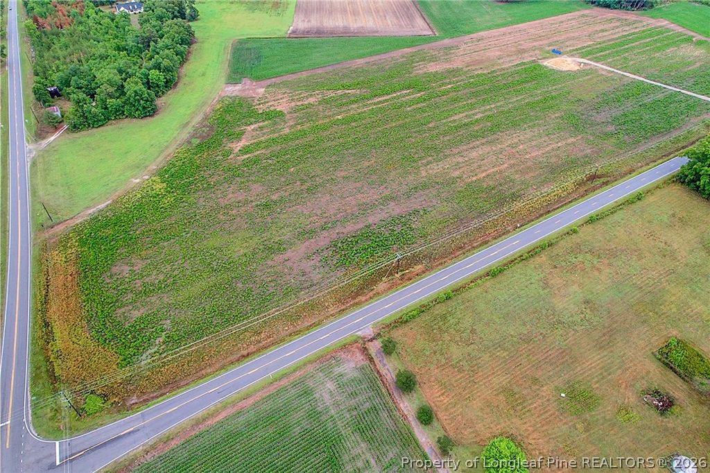 Lot 4 Buie Philadelphus Road, Red Springs, NC 28377 — photo 4